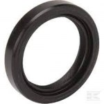 αρχείο λήψης (6)7